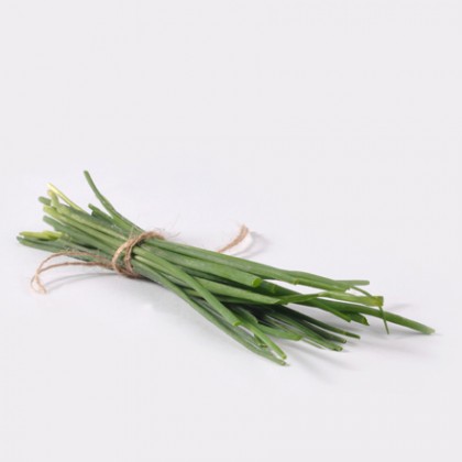 Erba cipollina