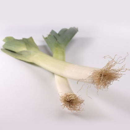 Leek, diced, deep-frozen
