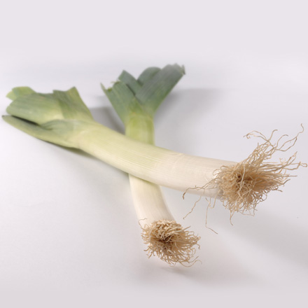 Leek, diced, deep-frozen