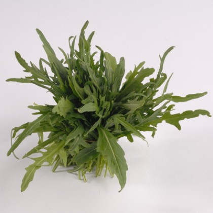 Rucola naturale