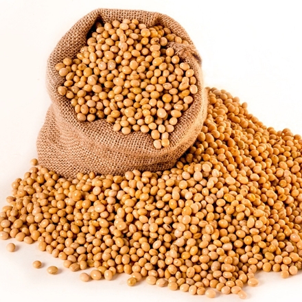 Ragù di soia
