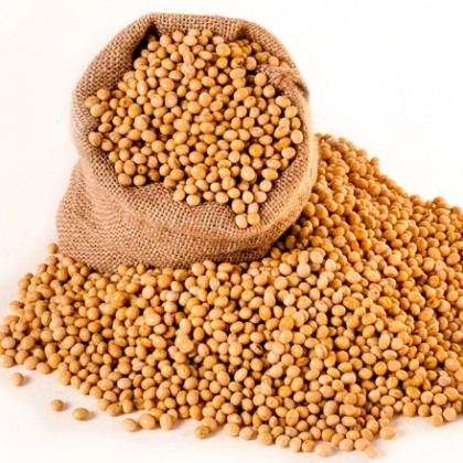 Ragù di soia
